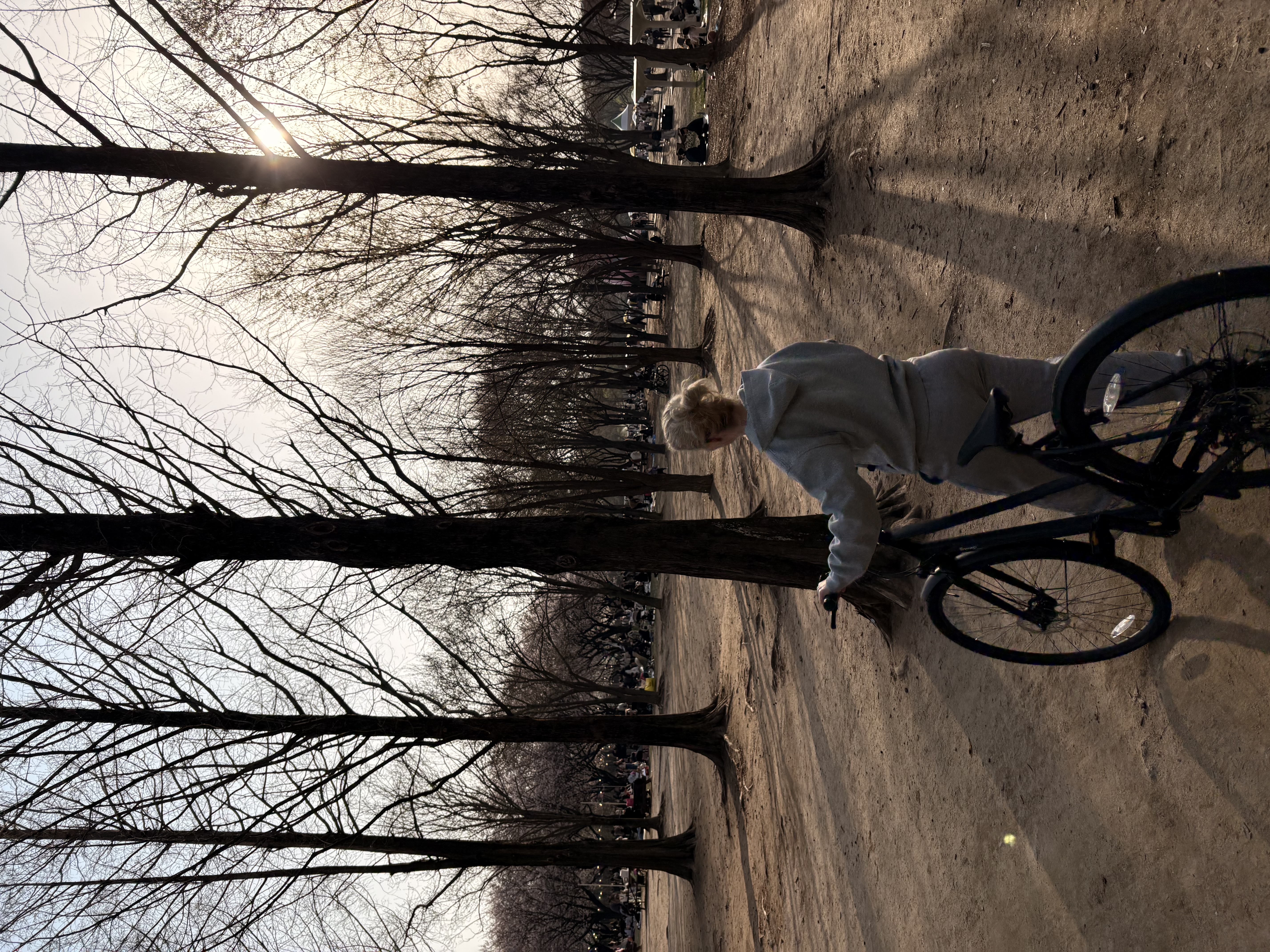 고*원님의 Ace 리뷰 이미지 3