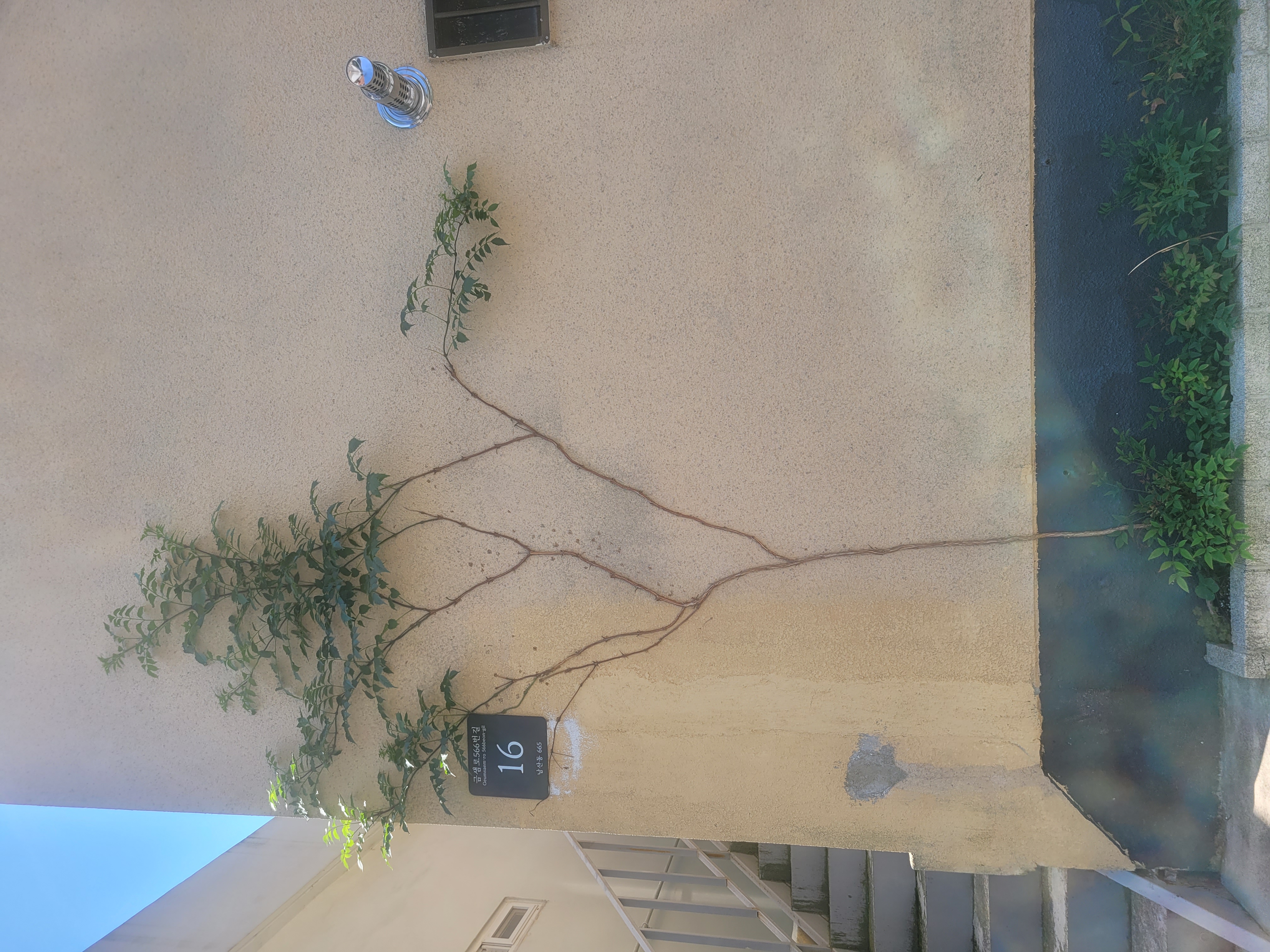 이*미님의 S1 리뷰 이미지 2