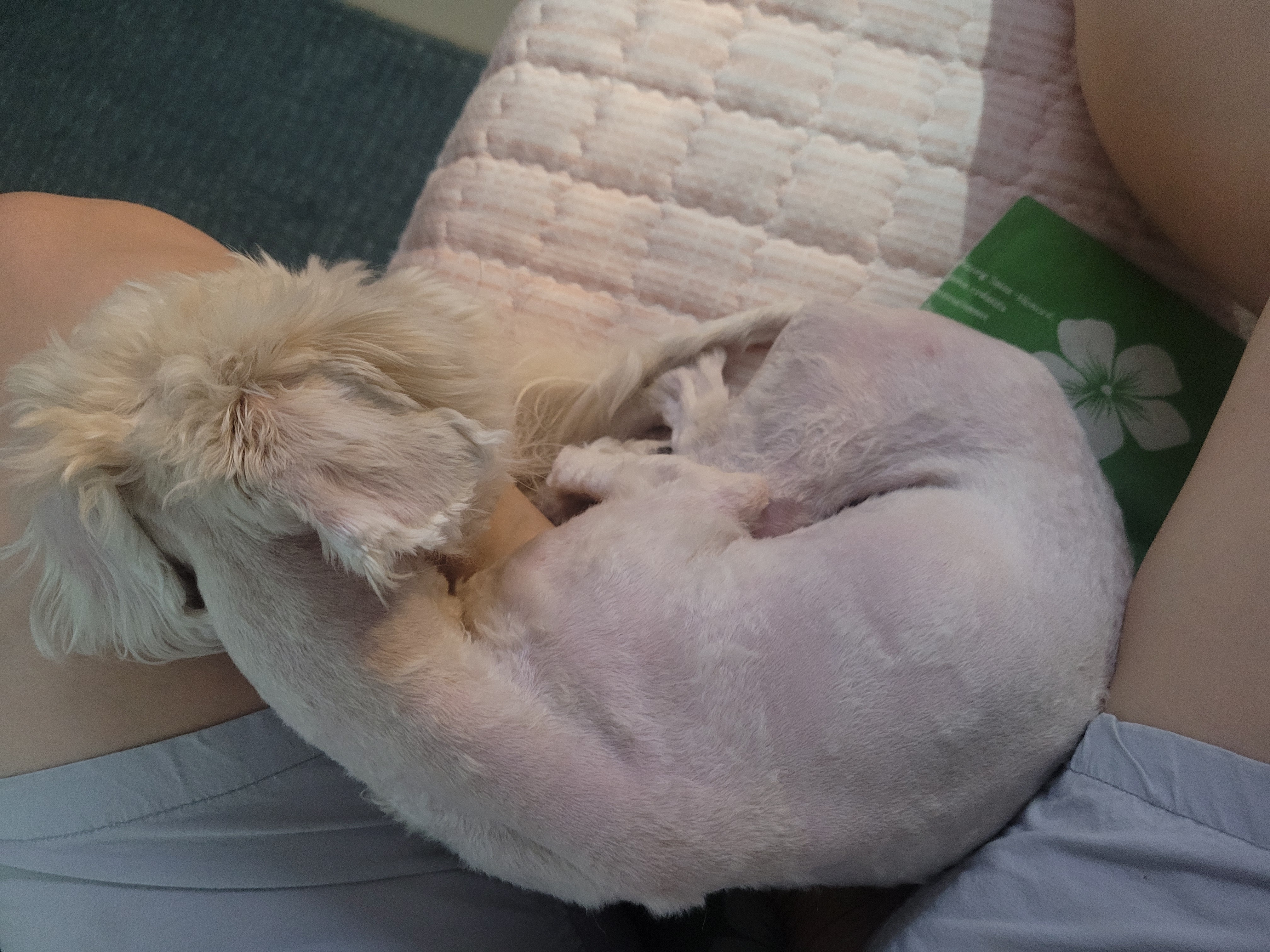 이*미님의 S1 리뷰 이미지 3