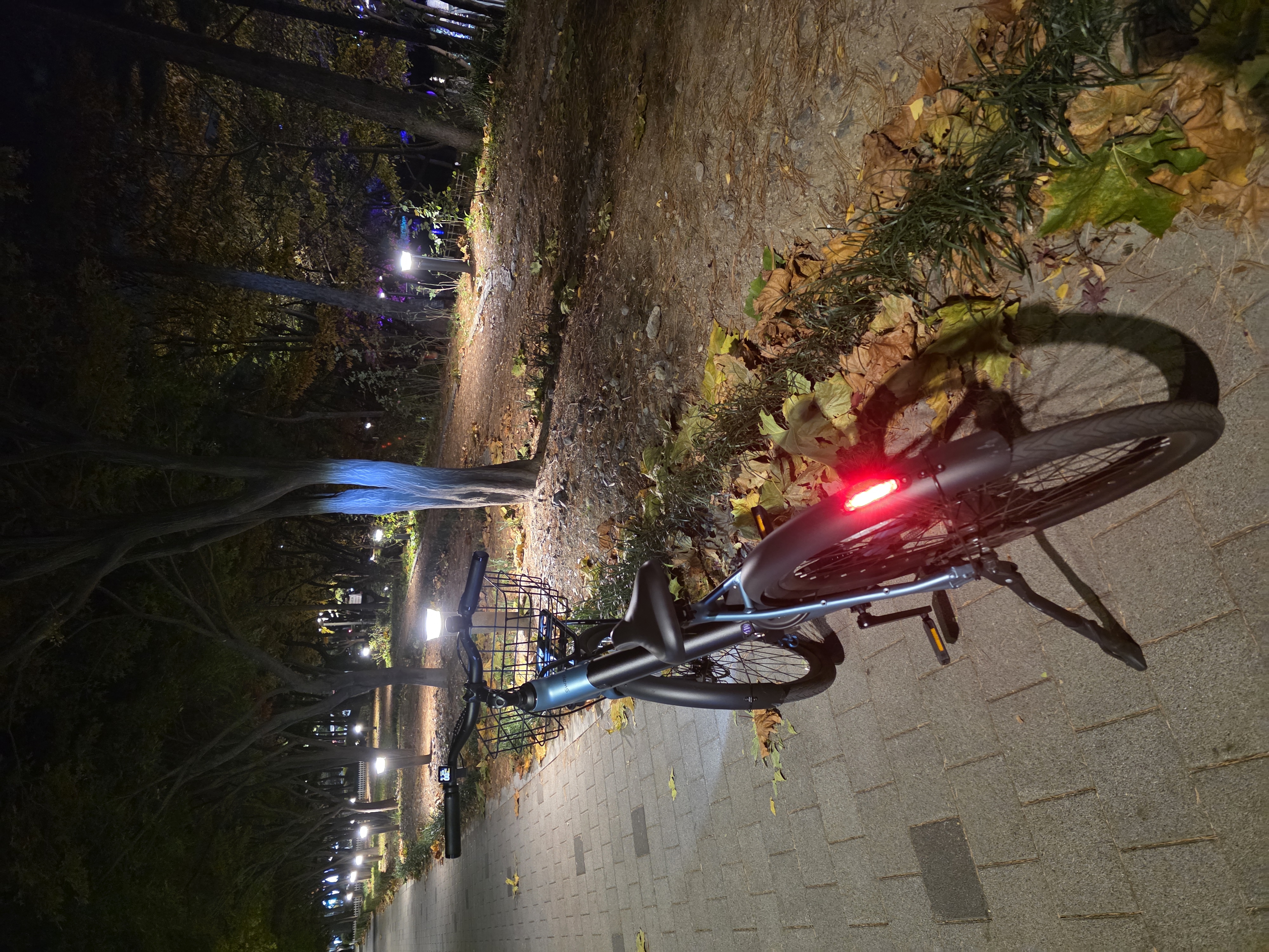 송*님의 Comfort 리뷰 이미지 3