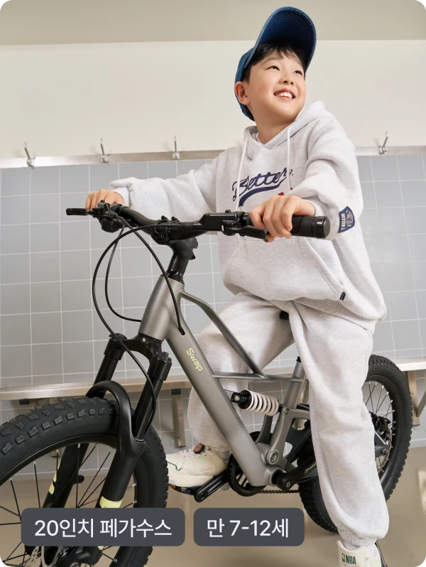 20인치 페가수스