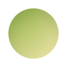 Avocado Green
