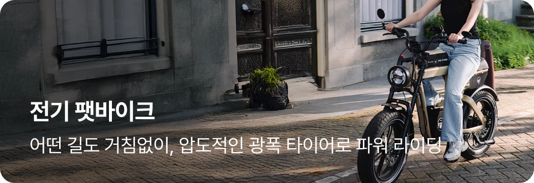 전기 팻바이크