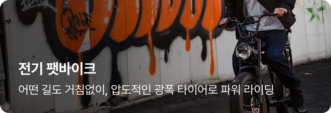 전기 팻바이크