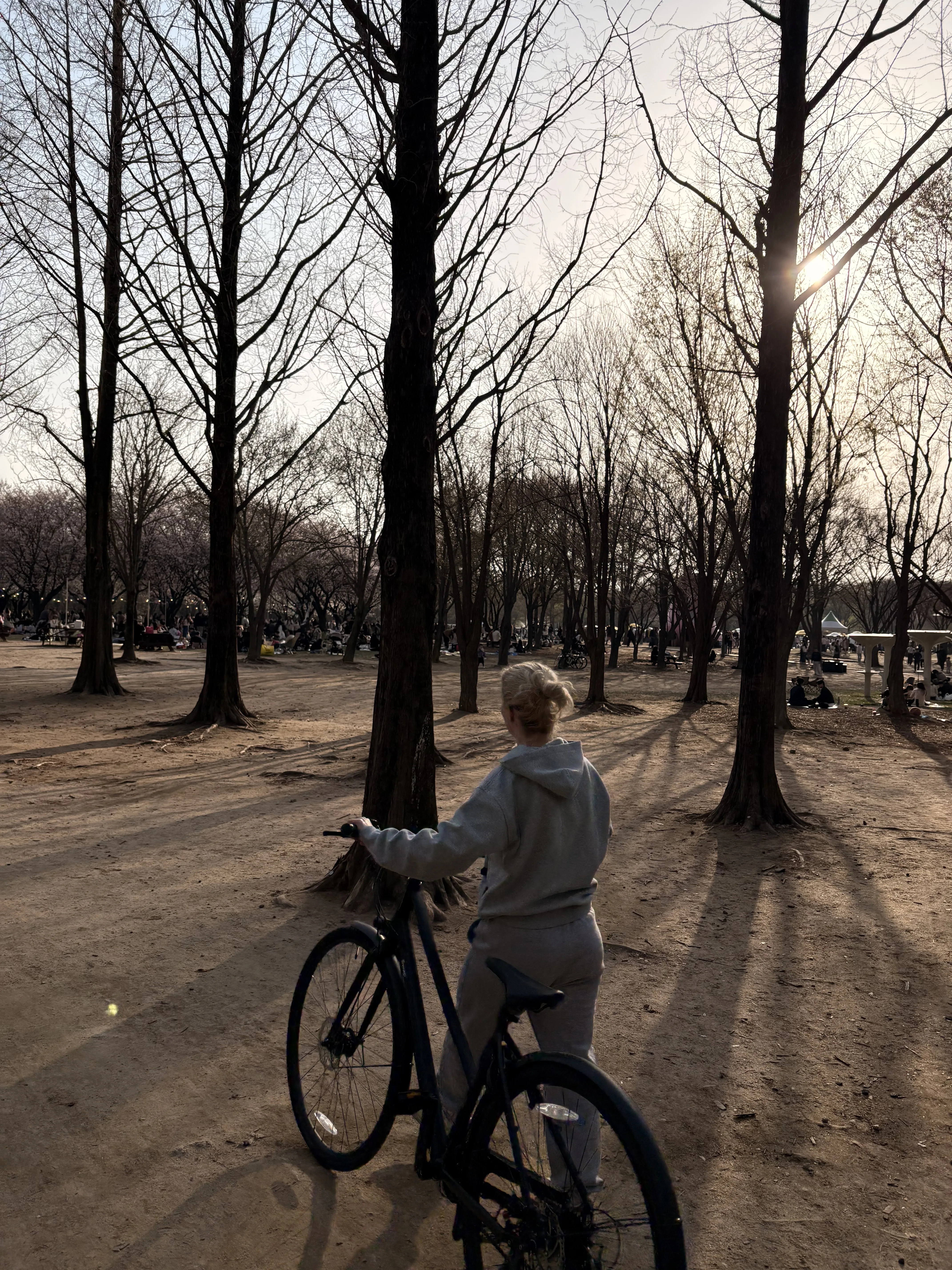 고*원님의 Ace 리뷰 이미지 3