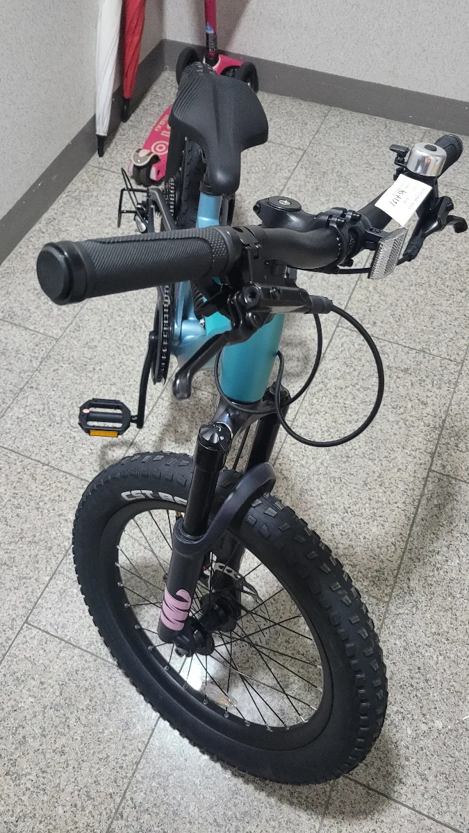 임*수님의 페가수스 리뷰 이미지 3