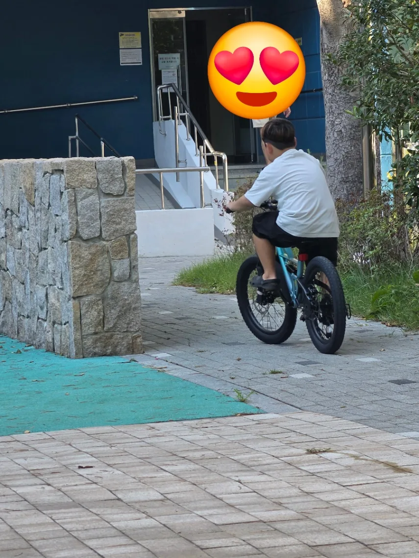이*지님의 페가수스 리뷰 이미지 2