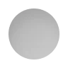 Metallic Silver