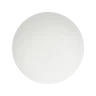 Glossy White