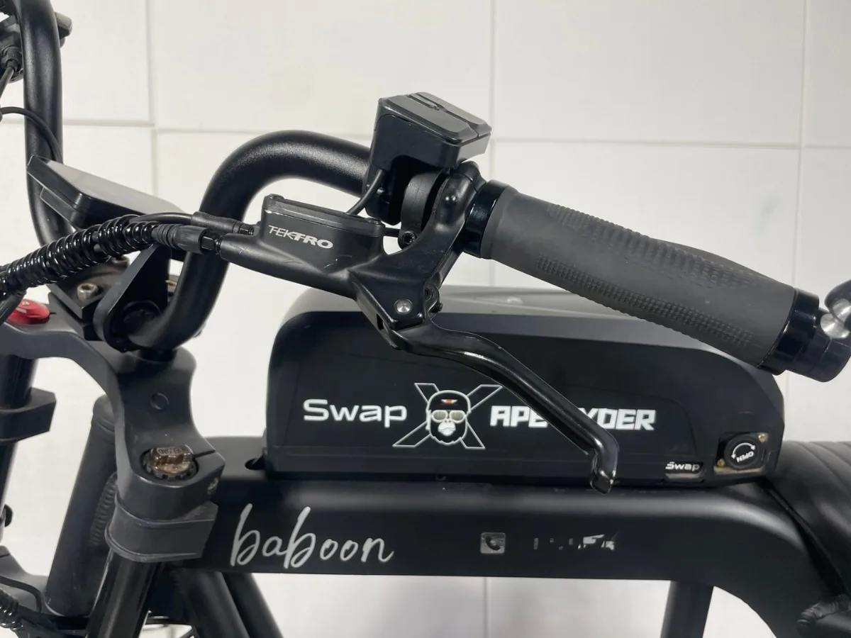 Swap X5 (15Ah) 상품 이미지 14
