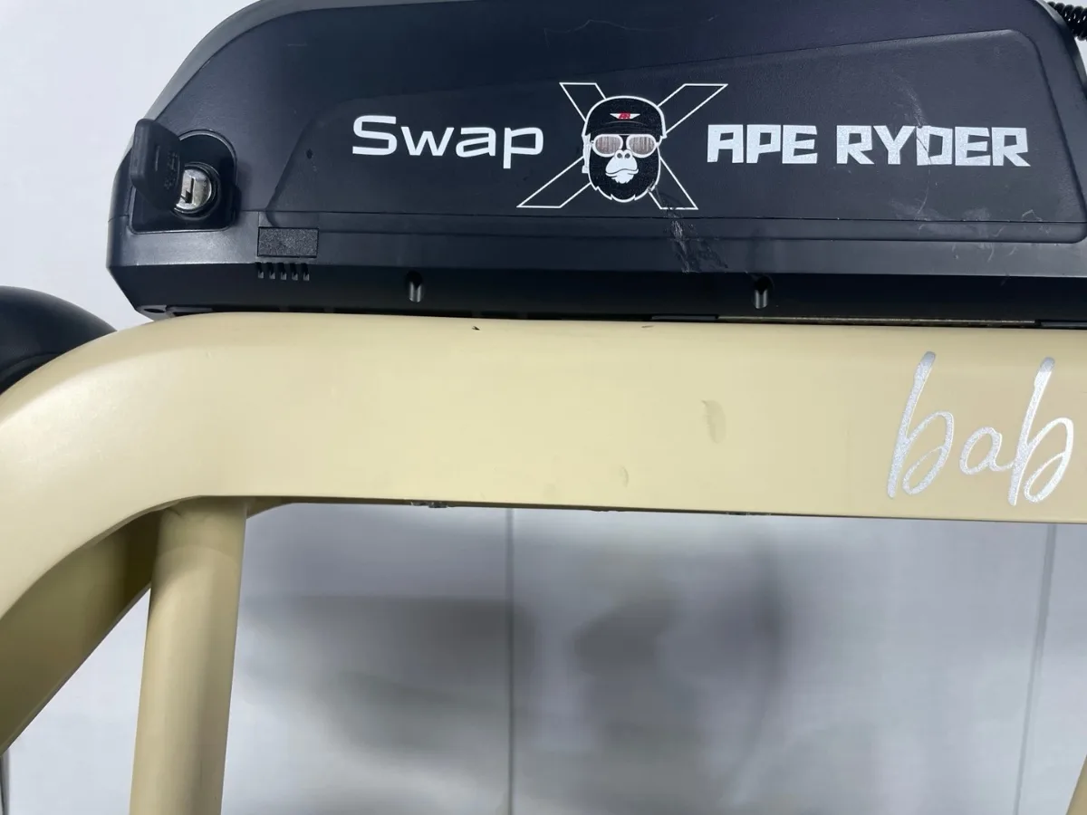 Swap X5 (15Ah) 상품 이미지 13