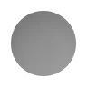 Neutral Grey