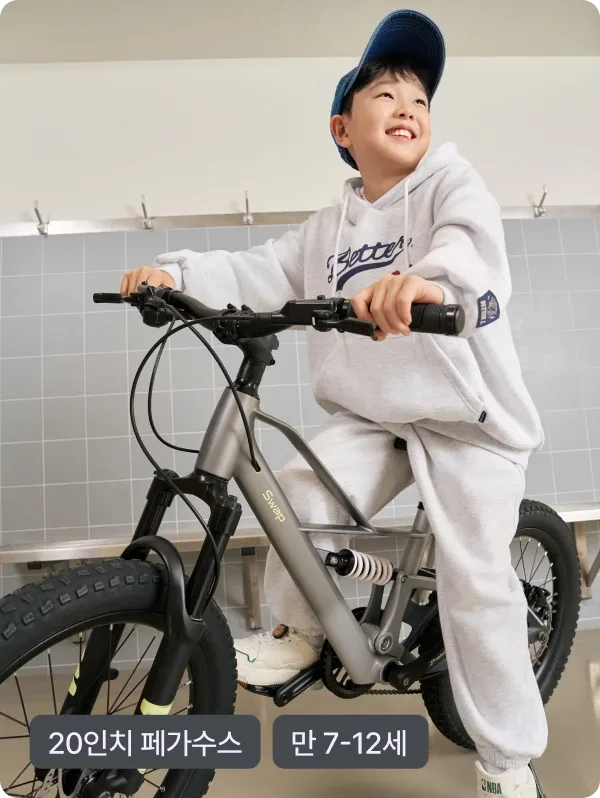 20인치 페가수스