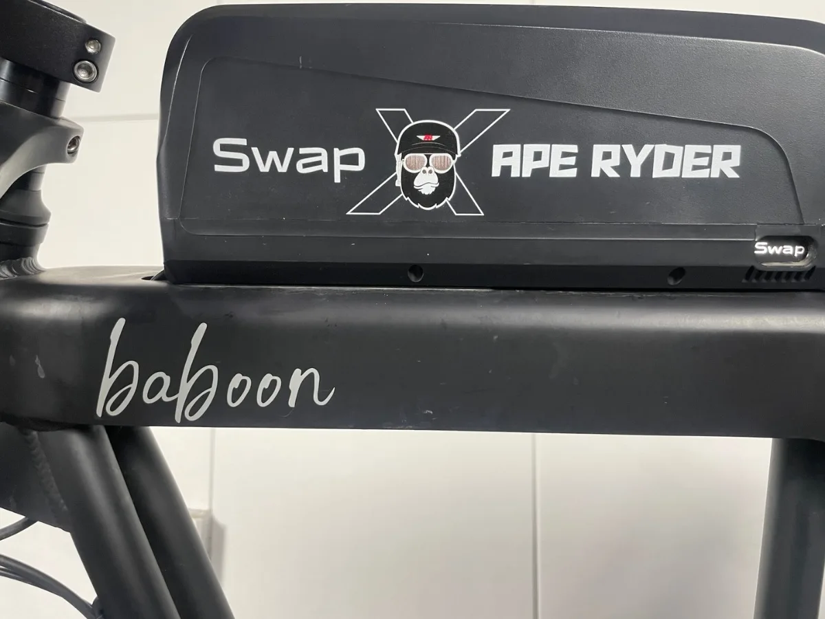Swap X5 (15Ah) 상품 이미지 16
