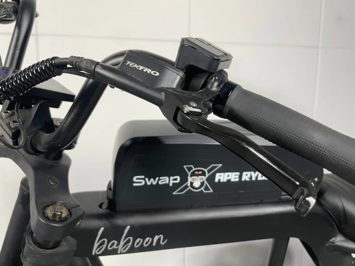 Swap X5 (15Ah) 상품 이미지 14